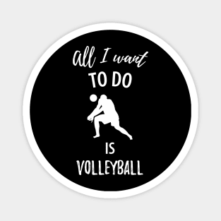 Volleyball Sport Team Play Gift Magnet